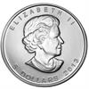 5 $ 2013. Maple Leaf - silver proof. SÆRPRIS